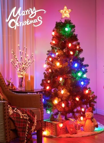Vintage Christmas Lights Outdoor, 50Ft C9 String Lights with 50 LED Bulbs