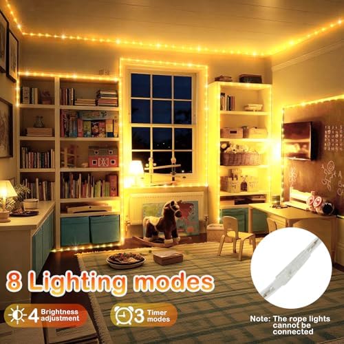 KNONEW 1000 LED Rope Lights Outdoor 164FT Rope Light for Outside Waterproof