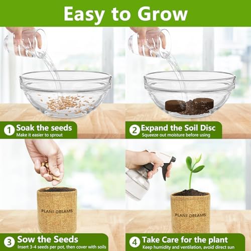 Bonsai Tree Kit, Bonsai Starter Kit with Seeds & Tools, Tree Live Plants Indoor, Gardening Gifts for Women Men Mom Father Plant Lover, Birthday Gifts for Women, Father Day Gifts