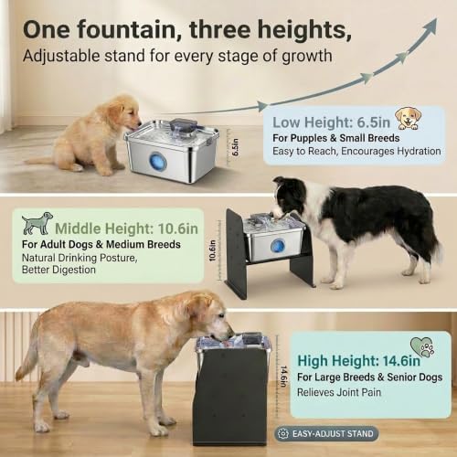 PETTEN Elevated Stainless Steel Dog Water Fountain Indoor 12L/3Gal