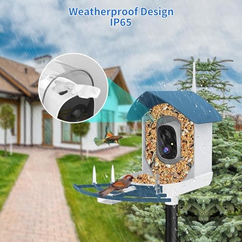 Fazoxo Bird Feeder with Camera,Birds House Camera,Solar Powered,AI Bird ID