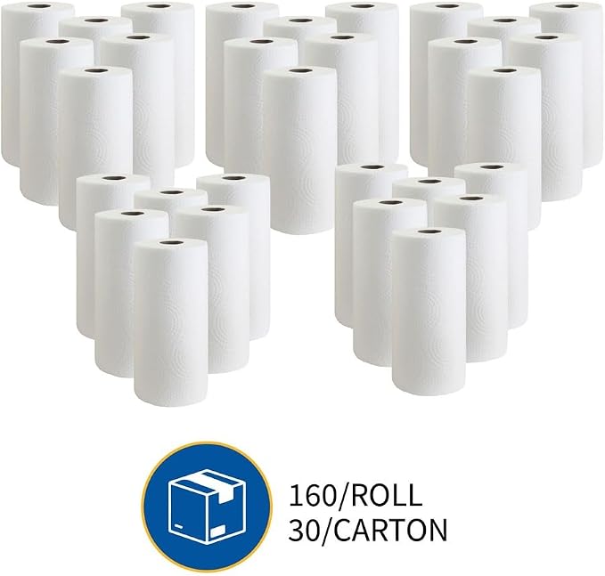 Genuine Joe-GJO24080 2-Ply Household Roll Paper Towels (Pack of 30) - WHITE