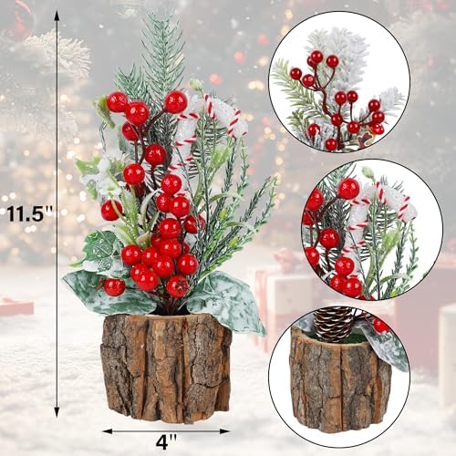 winemana Mini Christmas Trees Table Decorations for Indoor Office, 3 Pack
