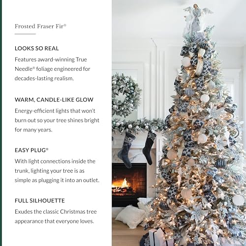 Balsam Hill BH Frosted Fraser Fir - Snow-Covered Artificial Christmas Tree with True Needle Foliage, Easy Plug Technology & Winter Magic Design, LED Clear, 6.5ft