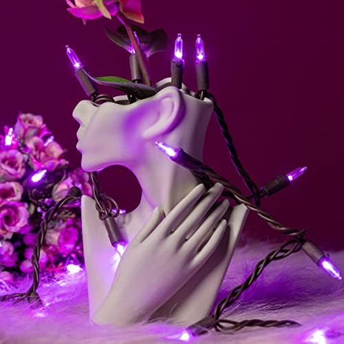 YULETIME 200 Purple LED Christmas Lights, 66 Feet Brown Wire UL Certified Commercial Grade Holiday String Light Set