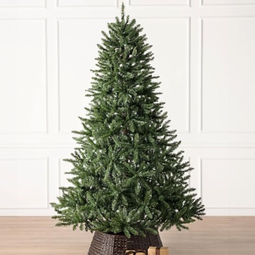 Balsam Hill Classic Evergreen Spruce - Traditional Artificial Christmas Tree with Classic Needle Foliage, Unlit, 7.5'