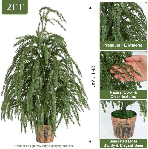 2 Pcs 2FT Potted Norfolk Pine Tree, Small Tabletop Christmas Tree