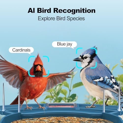Fazoxo Bird Feeder with Camera,Birds House Camera,Solar Powered,AI Bird ID
