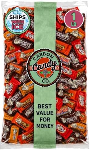 Halloween Chocolate Candy Variety Pack, Assorted Pinata Mini Bars Bulk 1 lb