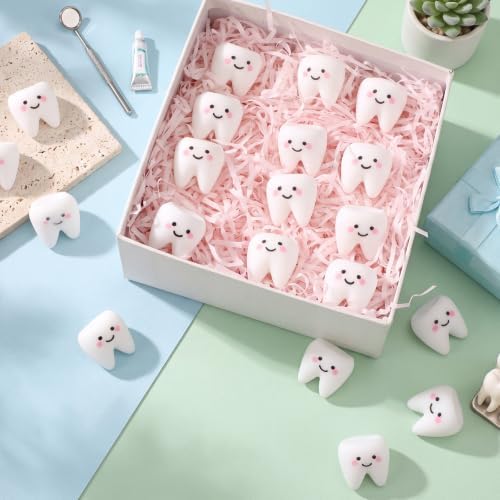 Thenshop 20 Pcs Dental Gifts Tooth Relief Favors Dental Party Supplies