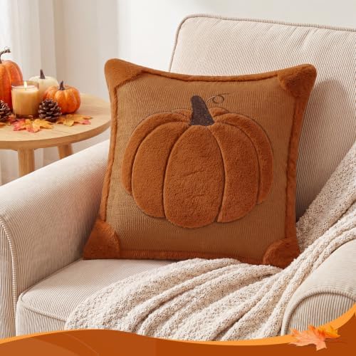 Fall Pillow Covers 20x20 Set of 2 Reversible Burnt Orange Pumpkin Plush