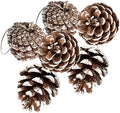 24 PCS Pine Cones for Christmas Tree Snowflake Natural Pinecones Ornament with String Pendant Crafts for Xmas Party Home Decor Fall Winter Holiday Christmas Tree Decoration (24)