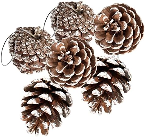24 PCS Pine Cones for Christmas Tree Snowflake Natural Pinecones Ornament with String Pendant Crafts for Xmas Party Home Decor Fall Winter Holiday Christmas Tree Decoration (24)