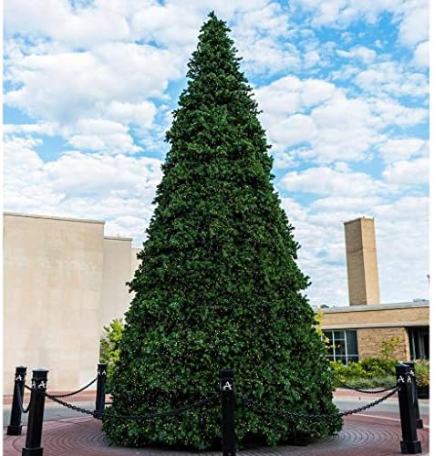 Vickerman 18' x 131" Grand Teton Frame Artificial Christmas Tree, Warm White Single Mold LED Lights