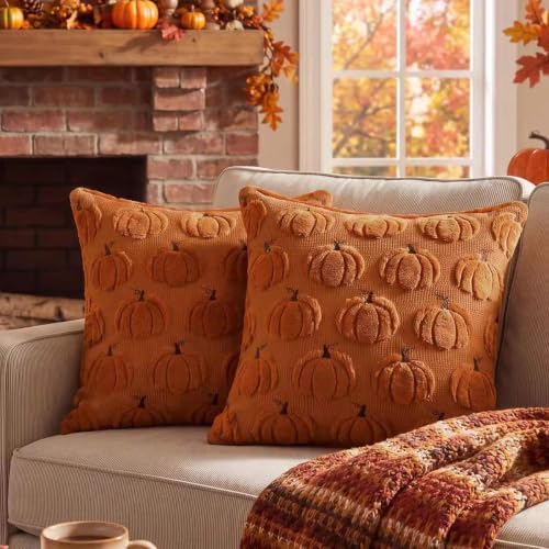 Softalker Fall Throw Pillow Covers 12x12 Set of 2 Small Rust Pumpkin Covers