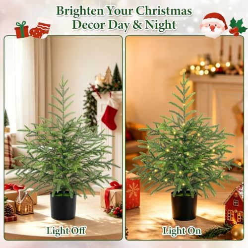 2 Ft Real Touch Christmas Tree with Lights, Realistic Norfolk Pine Tree
