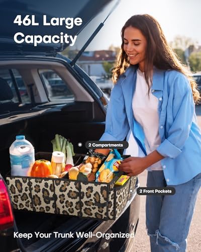 HOTOR Trunk Organizer - Foldable Car Organizer for SUVs & Sedans Storage
