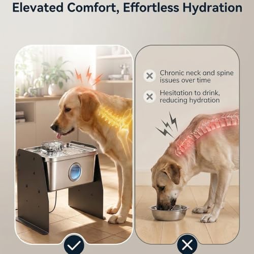 PETTEN Elevated Stainless Steel Dog Water Fountain Indoor 12L/3Gal