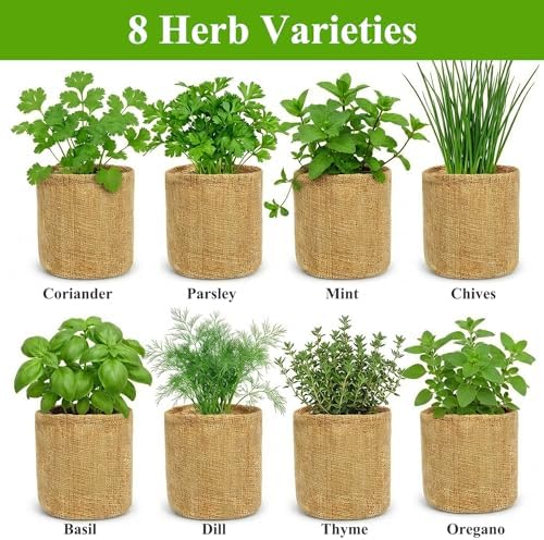 Indoor Herb Garden Kit, Culinary Herb Starter Kit with Seeds & Tools for Beginners, Kitchen Decor, House Warming Gifts for New Home, for Christmas, Ultimate Birthday Gifts for Women Men Mom Dad