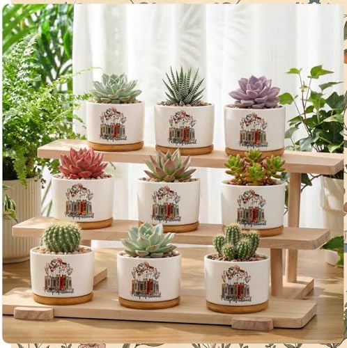 12 Pcs Paraprofessional Appreciation Gifts Succulent Planter Pots Ceramic Mini with Bamboo Trays Bulk for Teacher Assistant para Coworker Office Graduation Gifts, Plants Excluded