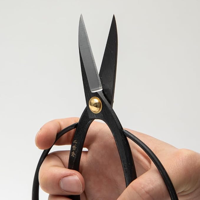 SenkichiKin Bonsai Scissors 7in (180mm) – Made in Japan Pruning Shears, Sharp Carbon Steel for Precision Trimming, Lightweight Tool for Bonsai, Flowers & Indoor Plants, forest Originals