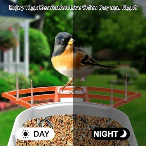 Fazoxo Bird Feeder with Camera,Birds House Camera,Solar Powered,Orange