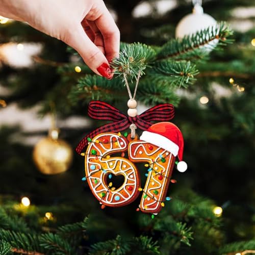 67 Ornament, 6 7 Christmas Ornaments 2026, Funny Ornament for Kids, 67 Gift