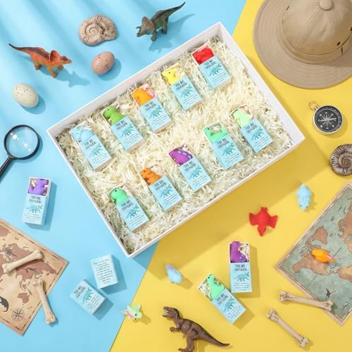 15 Sets Support Dinosaur Gifts Dinosaur Birthday Party Favors