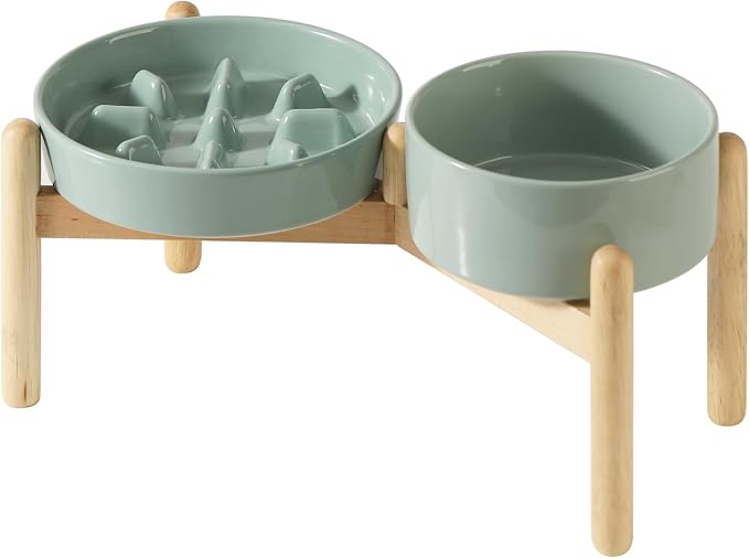 Havniva Elevated Slow Feeder Dog Bowls, Ceramic Dog Bowl Slow Feeder Set | 1.2 Cups Raised Slow Feeder Dog Bowl for Small Breed, 6.1” Dog Water Bowl with Wooden Stand, Puzzle Dog Food Bowl, Non-slip