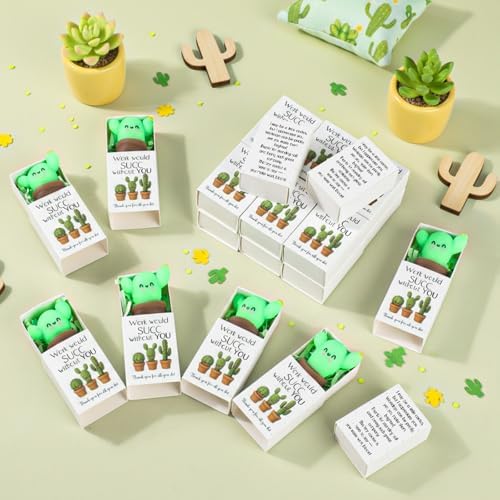 48 Sets Employee Appreciation Gifts with Boxes