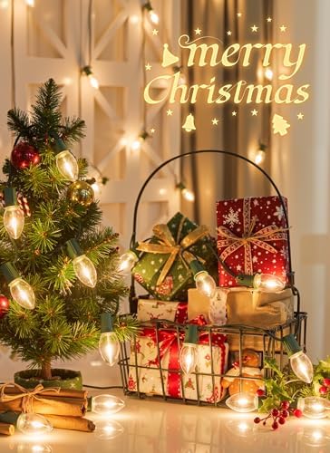 Minetom C9 Christmas Lights Outdoor, 25FT 25 LED String Lights Warm White