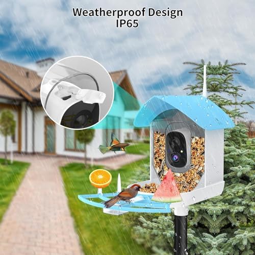 Fazoxo Bird Feeder with Camera,Birds House Camera,Solar Powered,SkyBlue