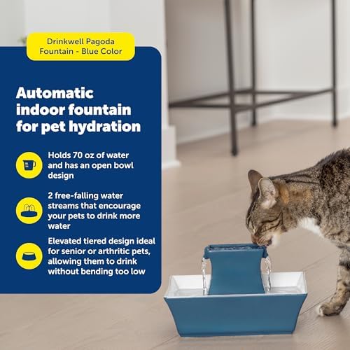 PetSafe Cat and Dog Water Fountain - Automatic Water Dispenser - Drinkwell Pagoda Ceramic Fountain for Pets - Filter Included - Blue - 70 oz, Model:PWW00-14898