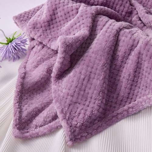 LE CADEAU Christmas Birthday Get Well Soon Gifts Basket for Women w/Blanket