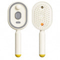 Electric Steam Brush for Hair, Electric Spray Air Cushion Comb for Women, Rechargeable Water Spray Hair Brush, Detangling & Anti-Static Hair Brush, Reduce Frizz, Smooth & Nourish