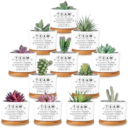 12 Pcs Team Appreciation Gifts for Employees Succulent Pots