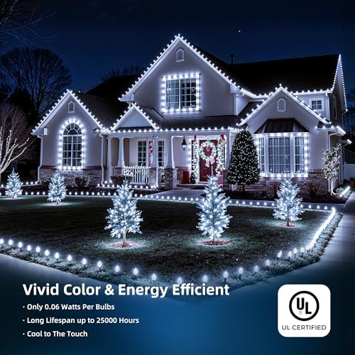 C9 LED Christmas Lights Outdoor, 97ft 150 LED Waterproof Strawberry Christmas Decorations String Lights, Plug in Vintage Christmas Tree Lights for Outside, Roof, Patio, Wedding, Party, Pure White