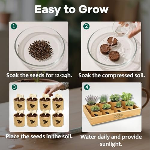 Indoor Herb Garden Start Kit - Unique Gifts for Women, Mothers Day Gifts, Easy House Plant- Birthday for Women,House Warming Gift New Home- Fresh Herb Garden DIY Crafts for Adults