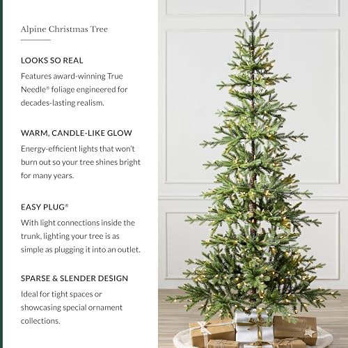 Balsam Hill 4ft Pre-Lit Alpine Christmas Tree - Sparse Artificial Christmas Tree with 80 Clear LED Fairy Lights, Pre-Fluffed Memory Wire Branches & Easy Plug Technology for Small Spaces