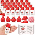 24 Sets Positive Luck Gifts Ladybug Party Favors with Boxes