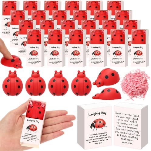 24 Sets Positive Luck Gifts Ladybug Party Favors with Boxes