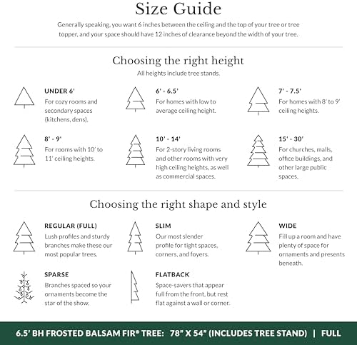 Balsam Hill Frosted BH Balsam Fir - Snow-Kissed Artificial Christmas Tree with True Needle Foliage and LED Clear Lights, 6.5'