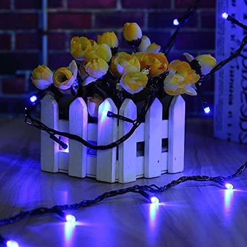 OZS Connectable 2-Pack 164Ft 400LED Christmas String Lights, Blue