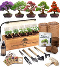 Bonsai Tree Kit Deluxe + Growing Light - 5X Unique Japanese Bonzai Trees