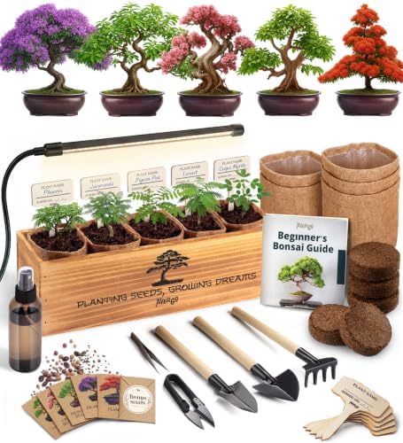 Bonsai Tree Kit Deluxe + Growing Light - 5X Unique Japanese Bonzai Trees
