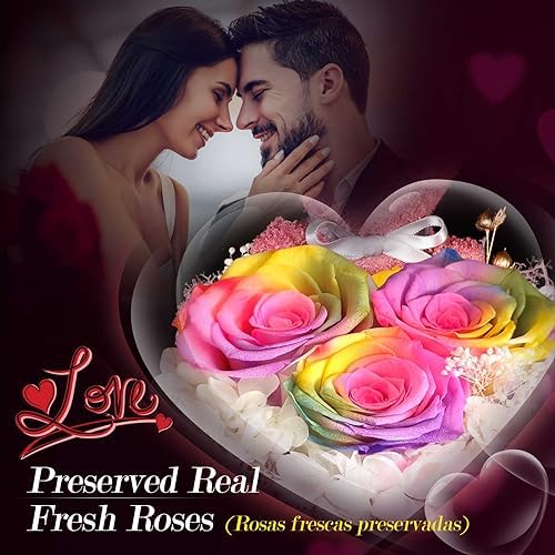 ADDWel Preserved Rainbow Rose Gift Box with 925 Sterling Silver Necklace