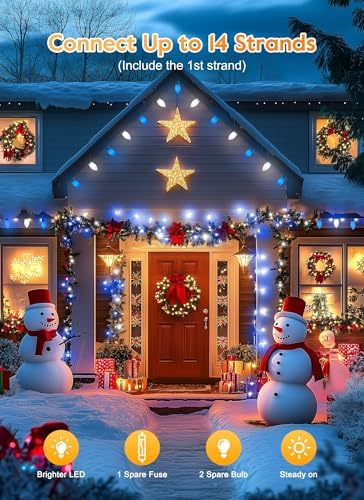 C9 Christmas Lights Outdoor, 100Ft 50 LED Blue & Pure White String Lights