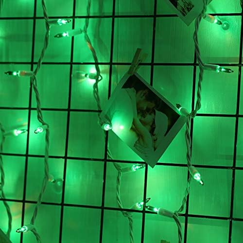 Brizled Green Christmas Lights Incandescent, 69.6ft, 300 Count, Connectable