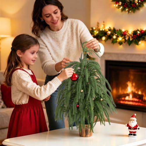2 Pcs 2FT Potted Norfolk Pine Tree, Small Tabletop Christmas Tree