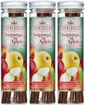 Scentsicles Autumn n Apples Scented Ornaments 3 Pack